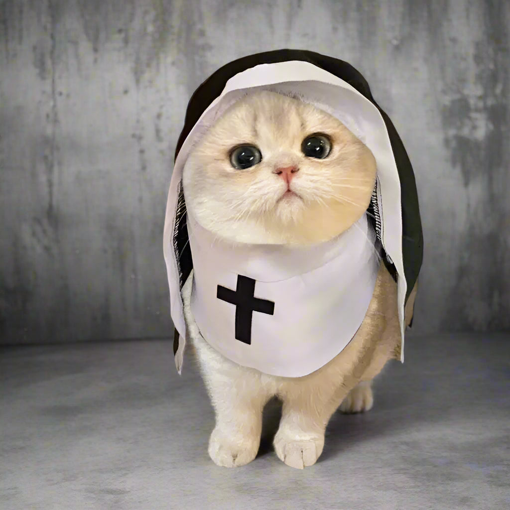 Cat wearing a nun costume with a cross on a carpeted floor.