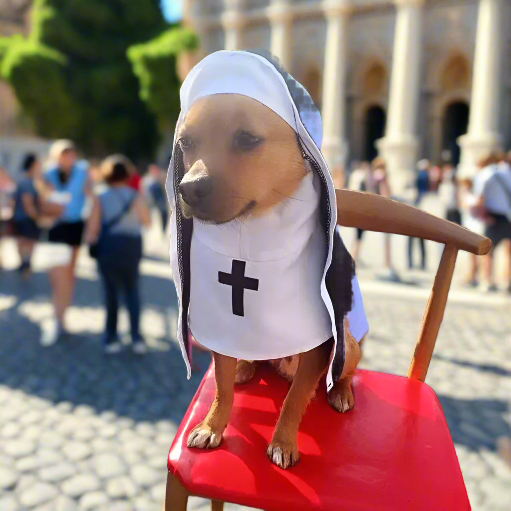 Dog wearing a nun costume with a cross on a red chair.