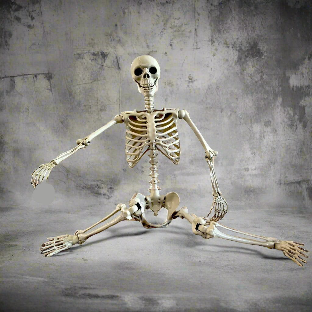 Skeletal figure sitting on a wooden floor with a black cat, against a plain wall.