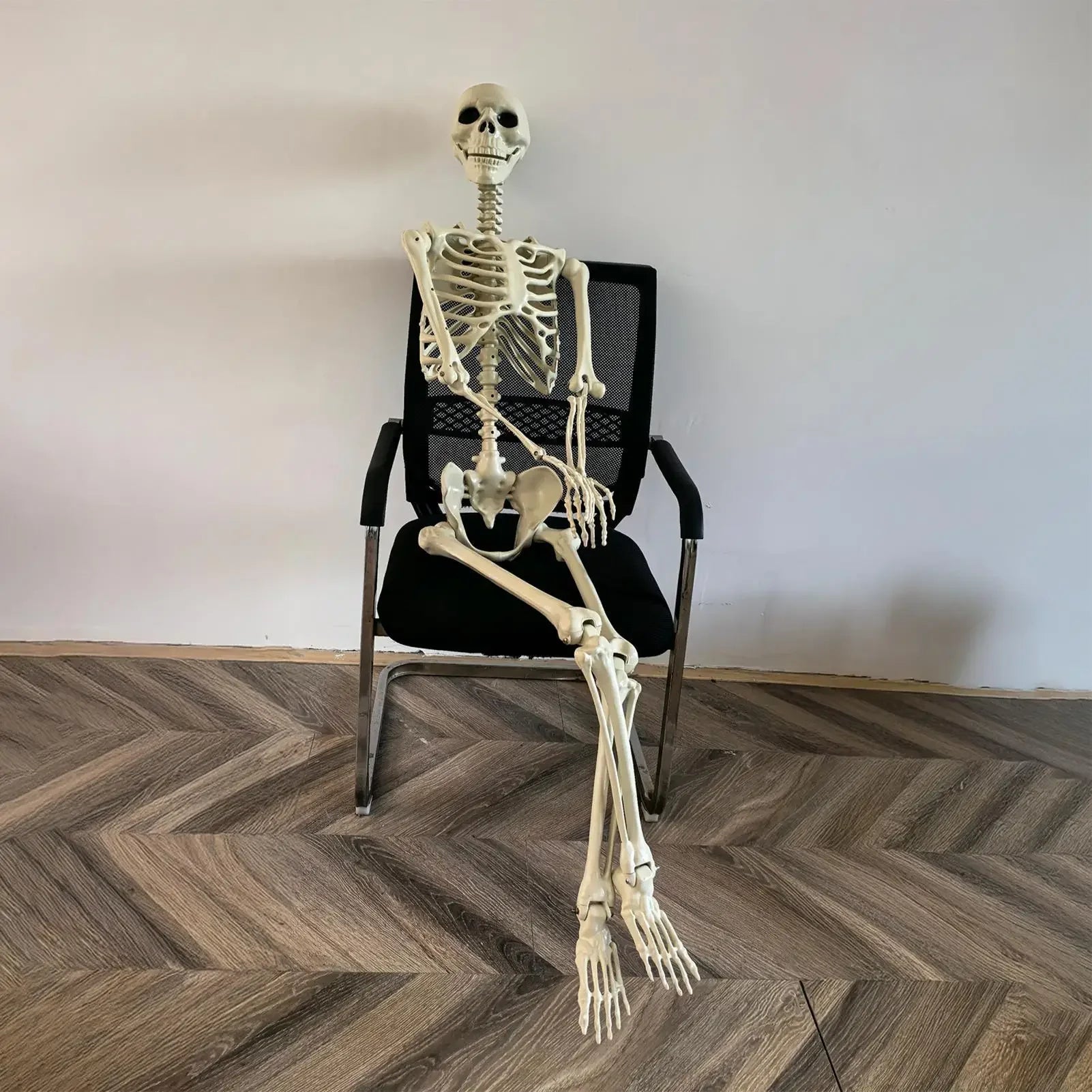 Skeletal model sitting on a black office chair against a plain wall.