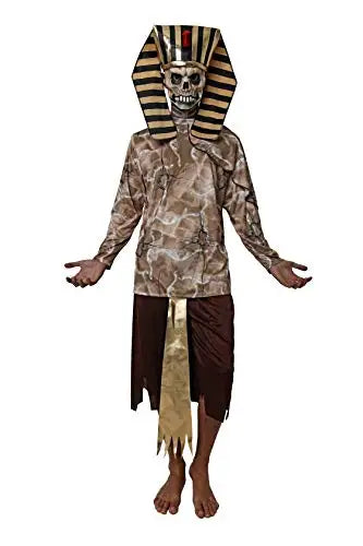 Person wearing an Egyptian Pharaoh costume with a skull design on a white background