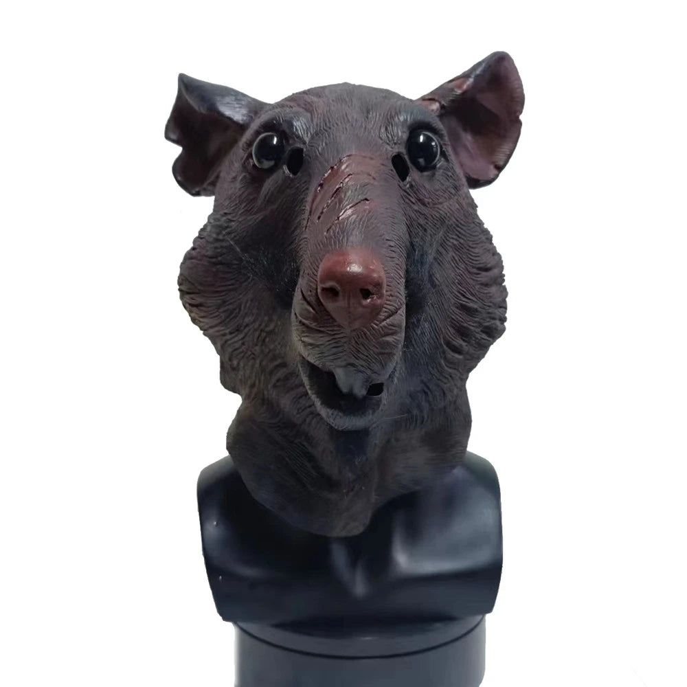 Bust of a rat on a white background