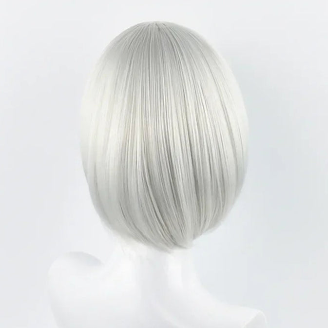 Silver wig on a white background