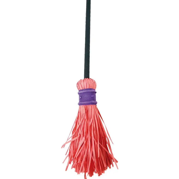 Red and purple broom with a black handle on a white background