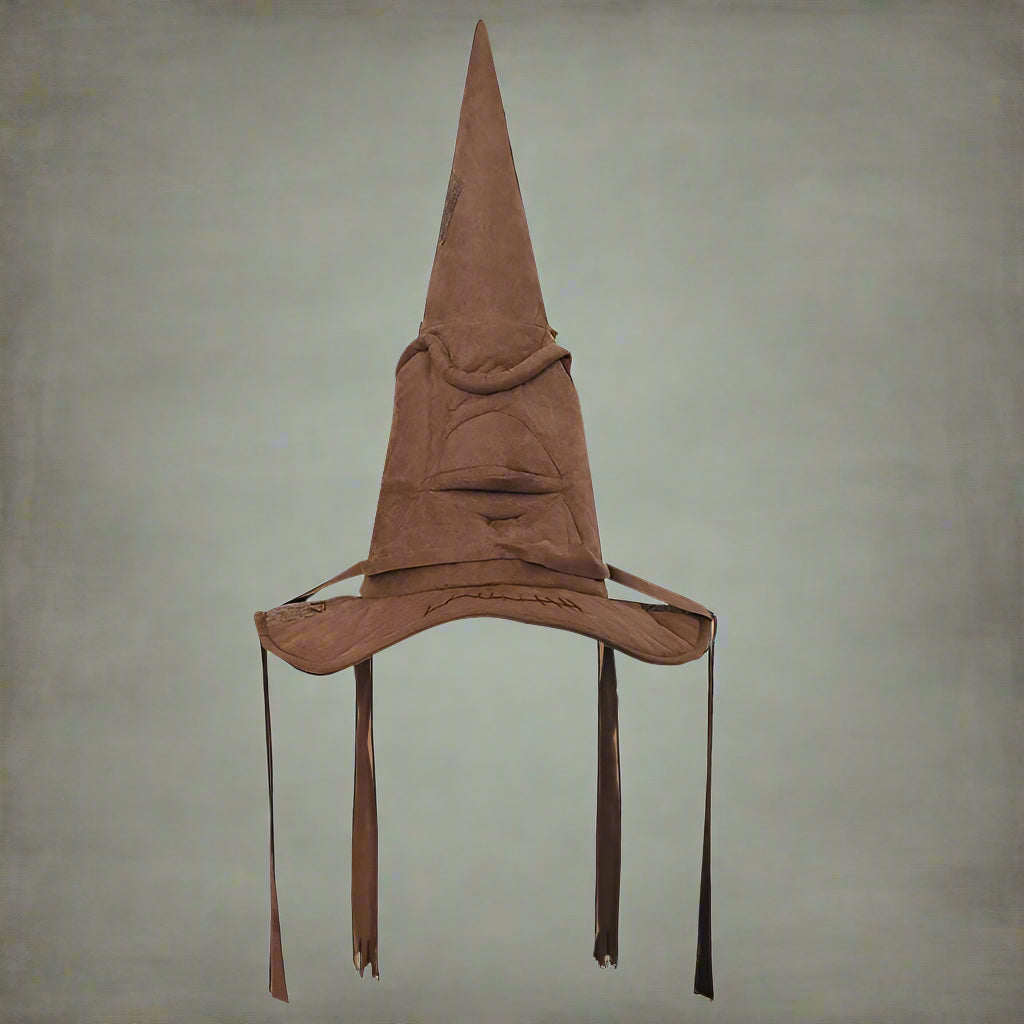 Brown pointed hat with a wide brim on a white background